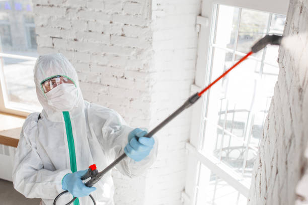 Best Mold-Related Health Consultation  in Leisure Village East, NJ