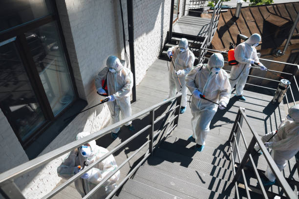 Reliable Leisure Village East, NJ Mold Removal Solutions