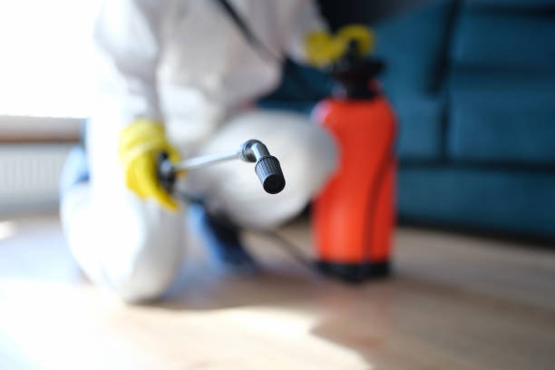 Best Asbestos and Lead Testing During Mold Inspection  in Leisure Village East, NJ