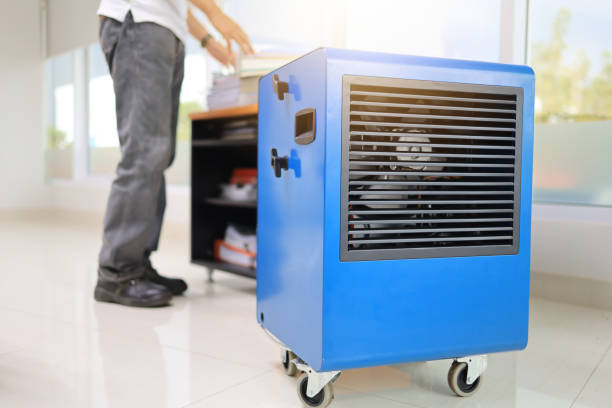 Best Commercial Mold Inspection  in Leisure Village East, NJ