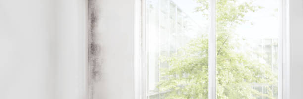 Best Indoor Air Quality Assessment  in Leisure Village East, NJ