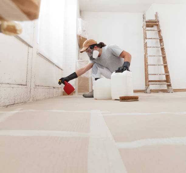 Best Air Quality Testing for Mold Spores  in Leisure Village East, NJ