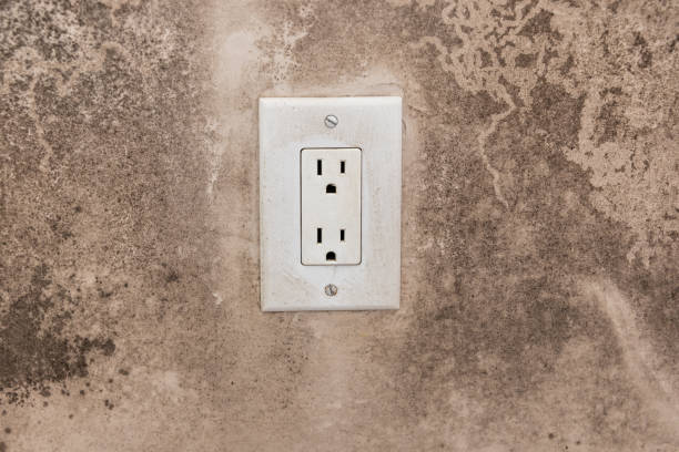 Best Mold Prevention Services  in Leisure Village East, NJ