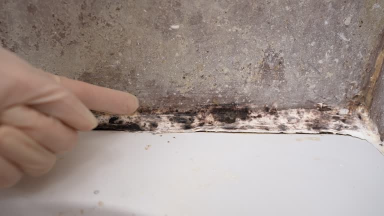 Best Post-Remediation Verification Testing  in Leisure Village East, NJ